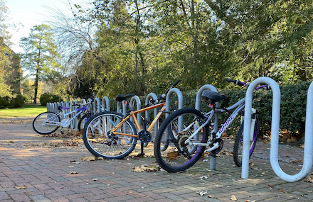 A collection of bikes on a rack