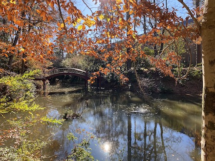 The Crime Dell Bridge framed by fall foliage
