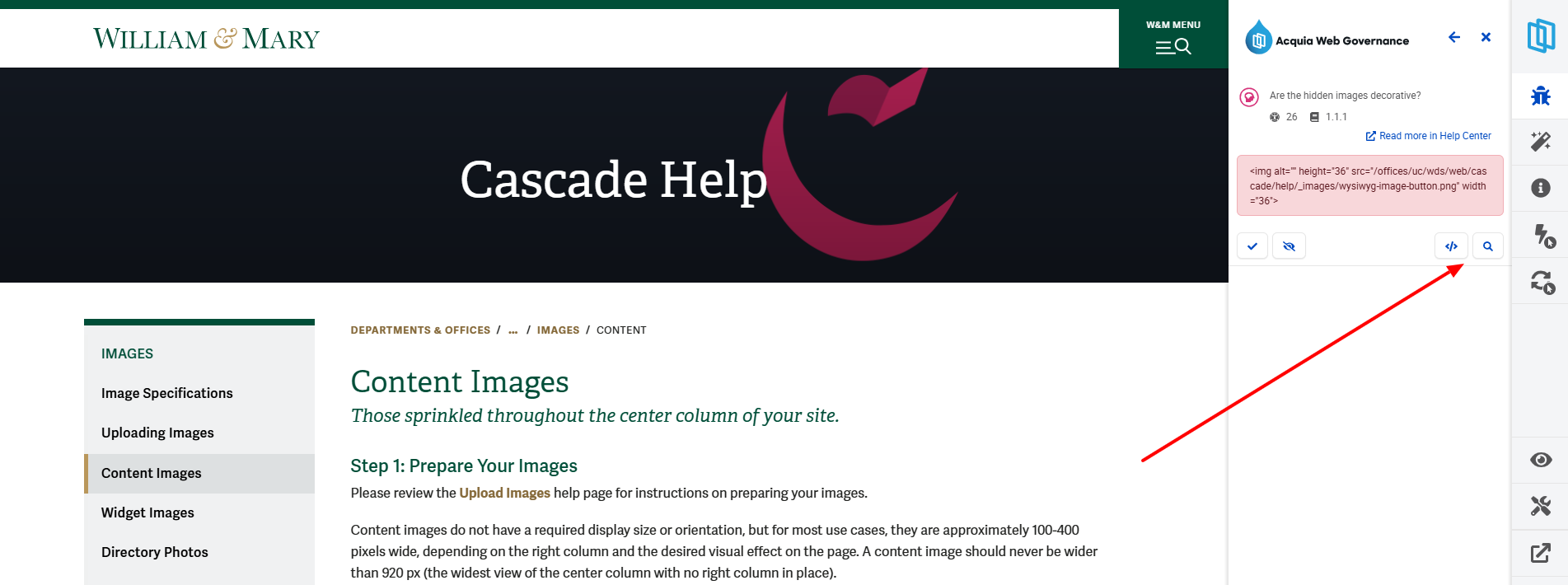 Screenshot 2: Select the HTML (< / >) or Highlight (mag glass) icons to locate the failed issue on the page.