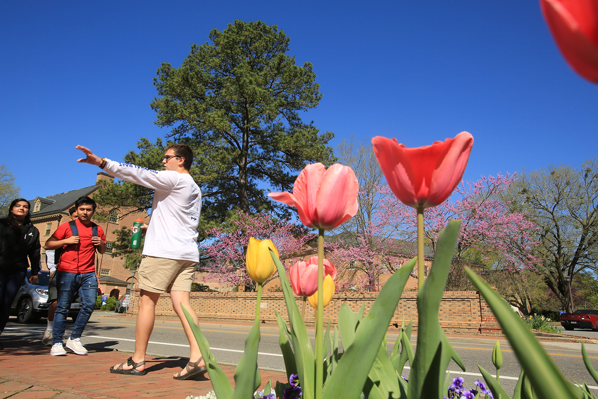 A tour guide leading a tour of William & Mary's campus.