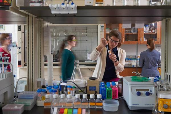 Students actively working in a chemistry lab.
