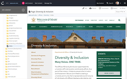 Cascade content management system preview of Diversity & Inclusion homepage