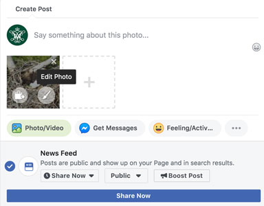 Screenshot of compose new post field on Facebook.