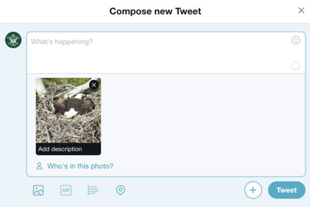 Screenshot compose new tweet field on Twitter. 