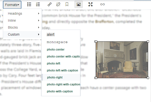 Custom formats menu when an image is selected