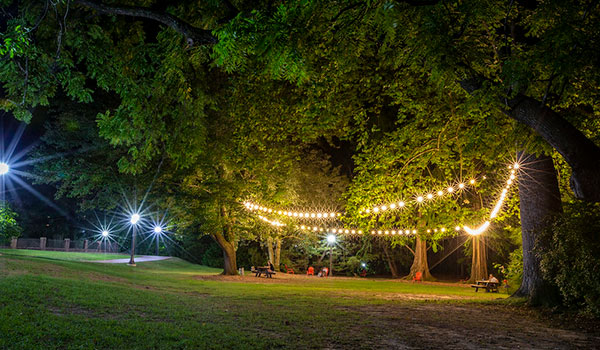 Lights strung between trees creating  lit area to sit and relax at night in the Crim Dell meadow