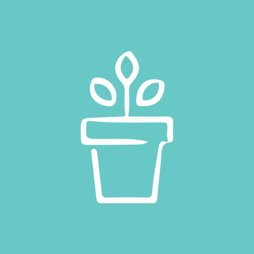 Icon of a growing plant in a pot