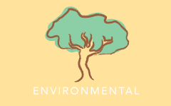 Environmental wellness