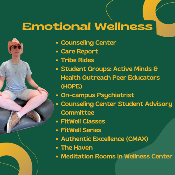 Fun Max Resources Emotional Wellness