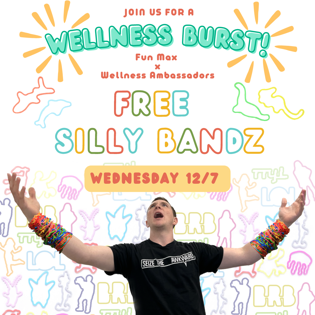 Fun Max Sillybandz Flier