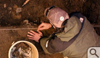 An archeologist excavates 400 year-old oyster shells from the Jamestown well.
