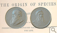 Two sides of the Darwin-Wallace medal...