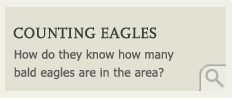 Counting eagles