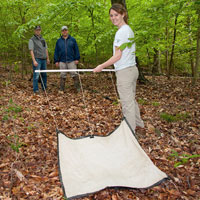 Joanna Weeks ’13 drags a canvas flag over the forest floor 