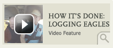 How it's done: logging eagles
