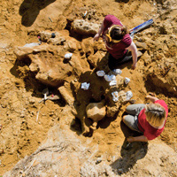 Geology major Kat Turk ’16 and William & Mary paleontologist Rowan Lockwood 