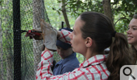 Botanist Harmony Dalgleish leads a crew making deer-resistant enclosures to protect target plots in William & Mary’s College Woods.