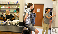During the summer, members of the iGEM squad worked simultaneously on various aspects, as (from left) Elli Cryan and Panya Vij do wet-lab work while Andrew Halleran and Michael LeFew get a whiteboard math update from John Marken.
