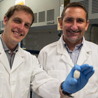 Sean Kobeley shows  a silkworm cocoon like those used in research in the lab of Hannes Schniepp (right). The two are authors on a paper that explains the molecular-level damage of overprocessing silk.