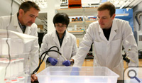 Hannes Schniepp (left) works up a spider in his lab with graduate students Qijue Wang and Sean Koebley.