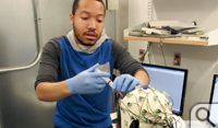 Brian Anyakoha '18 injects conductive gel into the electrodes on an eeg cap