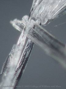 2,5, DBH matrix crystals on silver 1