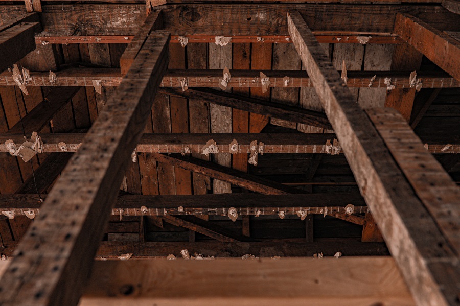 Attic Rafters. Bray-Digges Site February 2022 (courtesy of Grace Helmick).