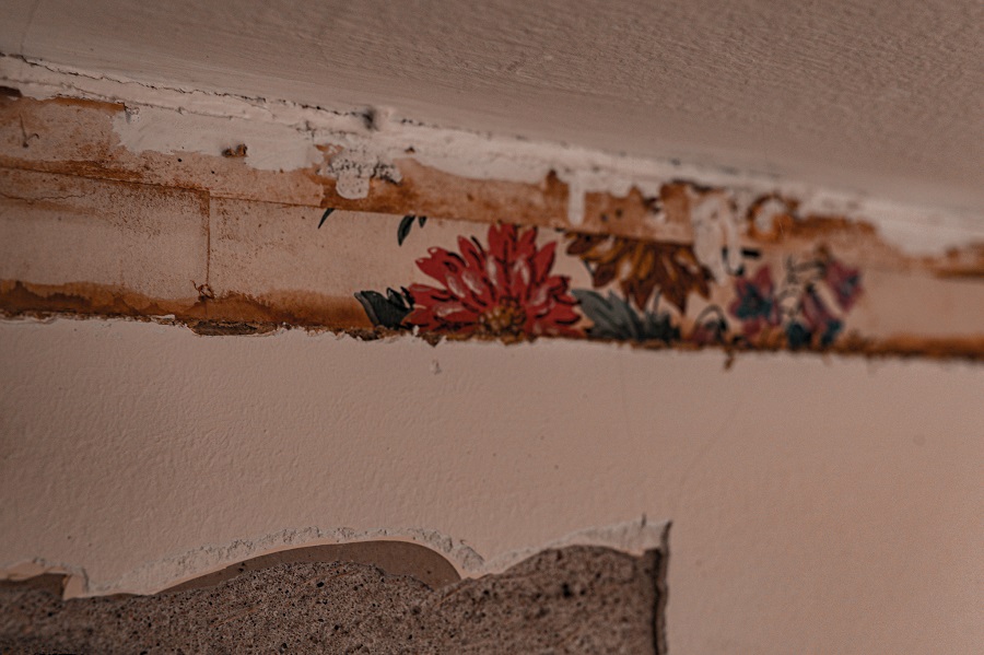 Wallpaper Behind Plaster. Bray-Digges Site February 2022 (courtesy of Grace Helmick).