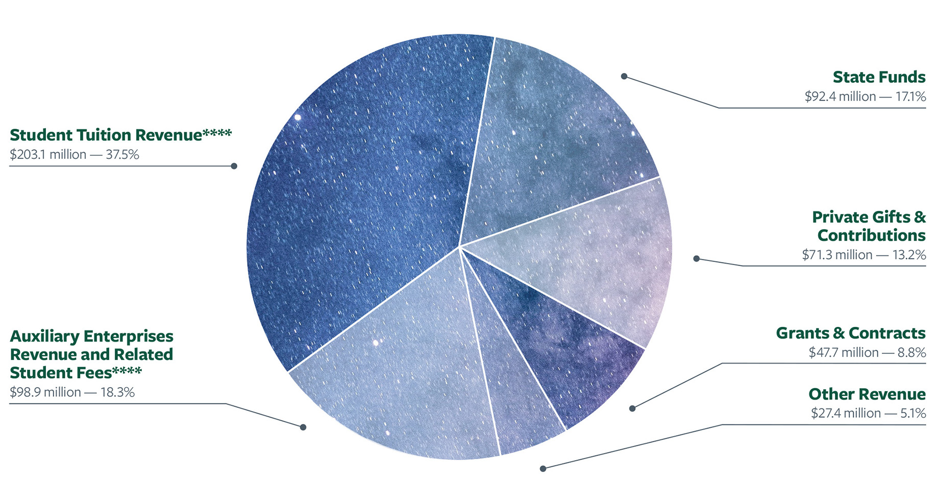 Operating revenue pie chart: Student Tuition Revenue**** $203.1 million — 37.5%; Grants & Contracts $47.7 million — 8.8%; Auxiliary Enterprises Revenue and Related Student Fees**** $98.9 million — 18.3%; State Funds $92.4 million — 17.1%; Private Gifts & Contributions $71.3 million — 13.2%; Other Revenue $27.4 million — 5.1%.