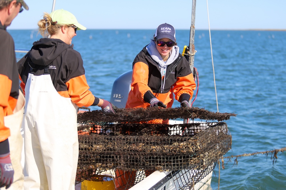 Two students in fishing gear pull up a wire cage from the bay