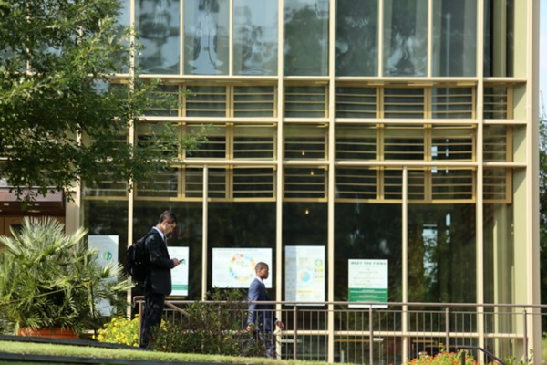 cohen_career_glass_windows