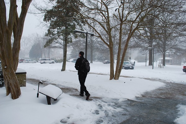 snow_wolf_law_library