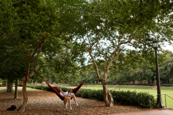students_hammock