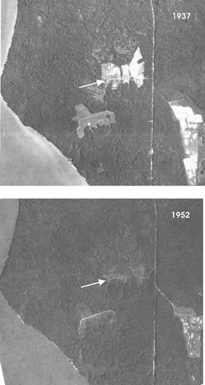 During the 1930s, the Chiles Homesite fields still were scattered across the landscape of Douglas Point. Only 15 years after the top photo was taken, the site was hemmed in with second growth trees. Today Douglas Point's densely wooded habitat is home to a host of plant and animal species.