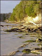 Image Courtesy of Maryland Dept. of Natural Resources