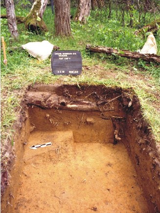 Excavated test unit