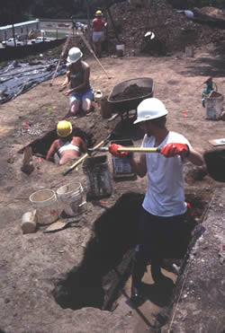 For efficiency, some of the field crew dig while others sift the excavated soil or collect soil samples.