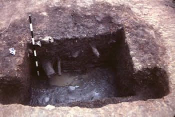 Feature excavation can be a messy business, especially in the waterlogged soil that filled this privy feature. Digging in sections reveals a mini 'history' of the feature through the layers of soil and feature shape visible in the profile.