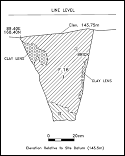 A probable slop hole, Feature 16 at Site 44PY181 contained 255 artifacts, including pieces of dinnerware, bottle glass, a bone button, animal bone, and a porcelain doll fragment.