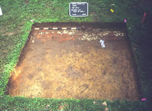 West of the house, in Test Unit 2, we found convincing evidence of an outbuilding shown in an early twentieth-century photograph. A brick foundation extends across the unit, though masked with mortar in the right half. Further excavation may reveal the date of the outbuilding. The trench where the foundation was laid may contain datable artifacts discarded during construction.