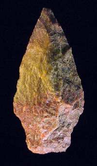 Spear point made of quartzite stone (2.1 inches long). This type of point, called Savannah River, was manufactured between 3000 and 1000 B.C.