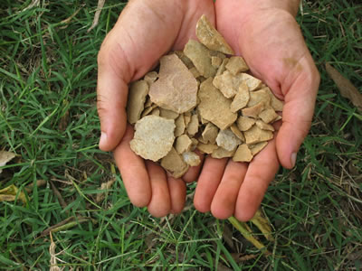 The handful of stone toolmaking debris all came from one shovel test, indicating intensive prehistoric activity at the fort site.