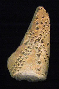 Bowl portion of a locally made tobacco pipe (1600s).