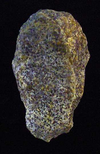 Stone scraper made of distinctive, 'oolitic' quartzite (1.7 inches long). The wider end has a sharpened edge that would have worked well for scraping animal hides.