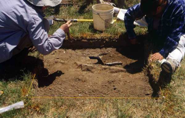 Uncovering a brick foundation in a test unit.