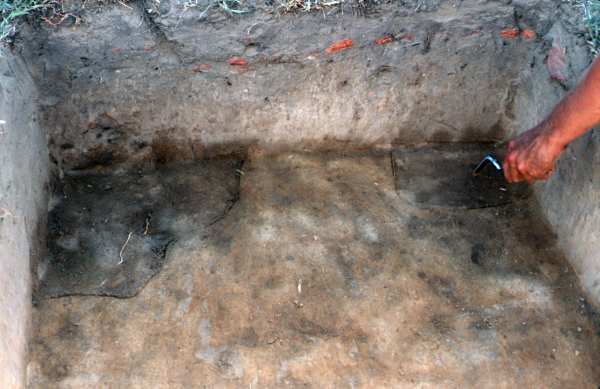 Two features filled with dark soil stand out against the lighter-colored subsoil surrounding them.