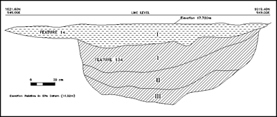 In the absence of a deep plowzone, feature recognition was challenging. On a plowed site, feature outlines usually appear in contrast to lighter-colored subsoil. However, at Site 44JC969, the transition from topsoil to subsoil was more gradual. The first hints of subfloor pits (see Feature 134 above) often came from amorphous, artifact-rich cultural deposits like Feature 14. Increased artifact density was the main factor in identifying these features, as their color and texture were similar to the surrounding topsoil.