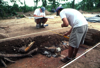 Cellar excavation at a nineteenth-century farmstead. Note large fragments of pottery protruding from soil.