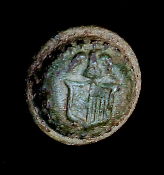 New York Militia Button