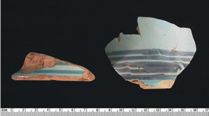 Medicine/grooming and hygiene